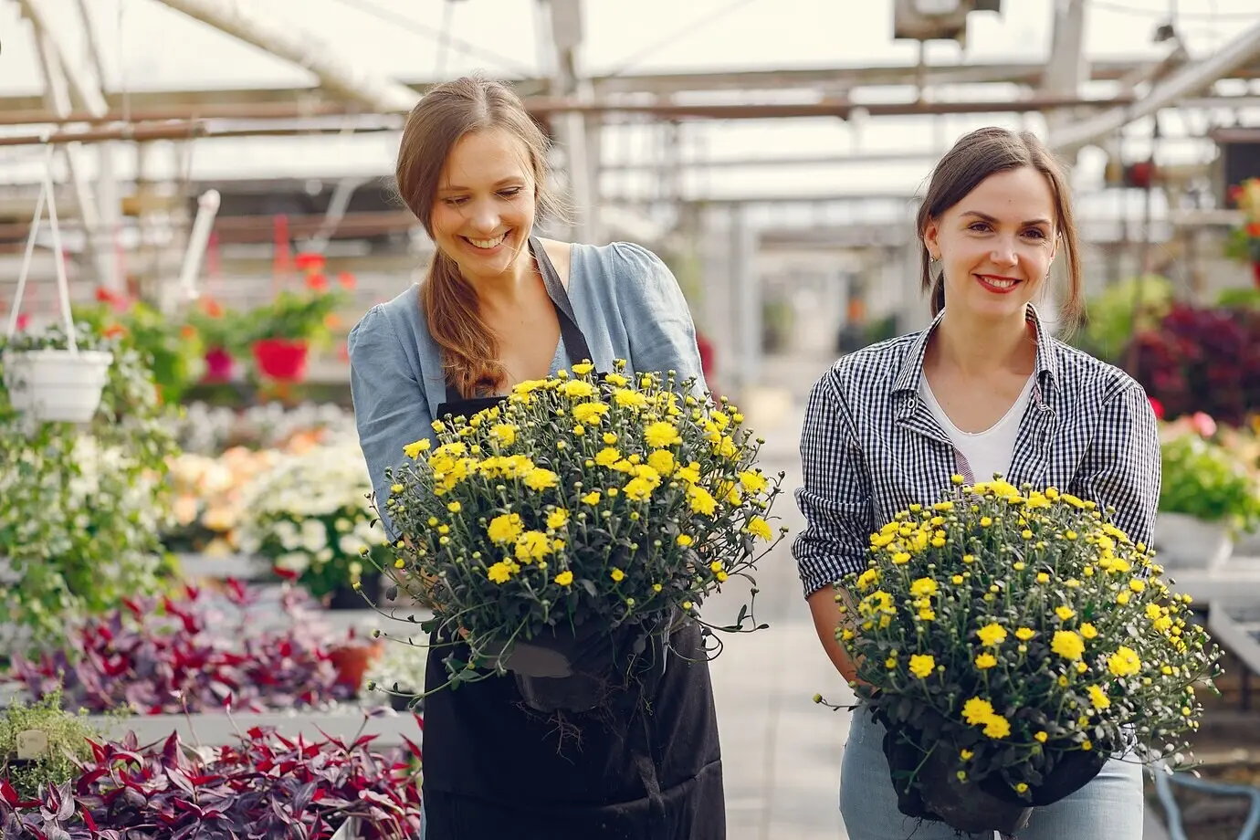 Frauen arbeiten in einem Gewächshaus mit Blumentöpfen.